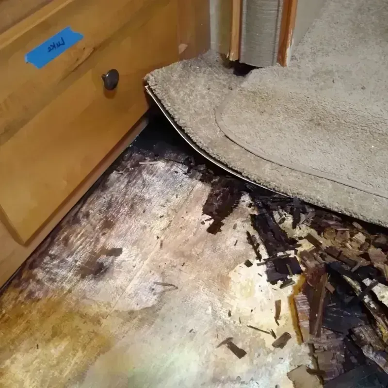 Wood Floor Water Damage in Lindstrom, MN